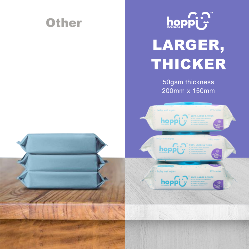 HB023 Hoppi Wet Wipes 80 Sheets 3in 1 Bundle Pack with Blue Cap05